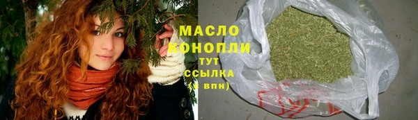 гашик Горняк