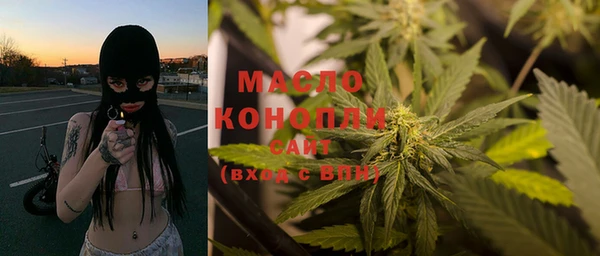 гидра Горнозаводск