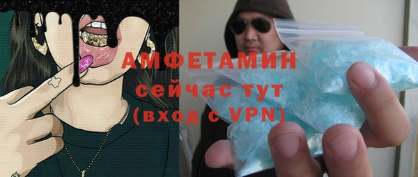 гашик Горняк