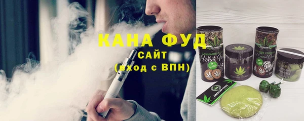 гидра Горнозаводск