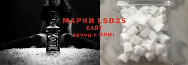 гашик Горняк
