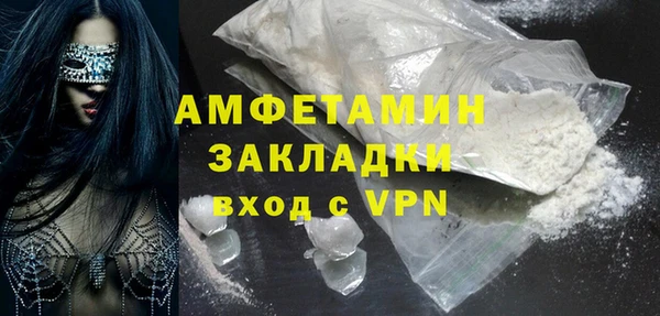 гашик Горняк