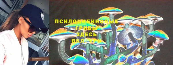 гидра Горнозаводск
