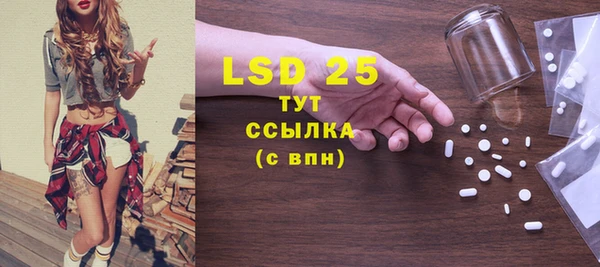 гашик Горняк