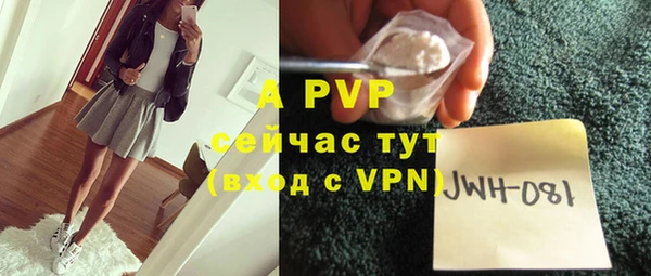 гашик Горняк