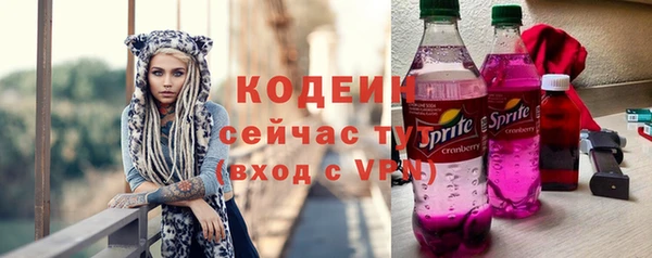 гашик Горняк