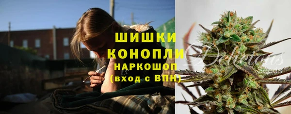 гашик Горняк
