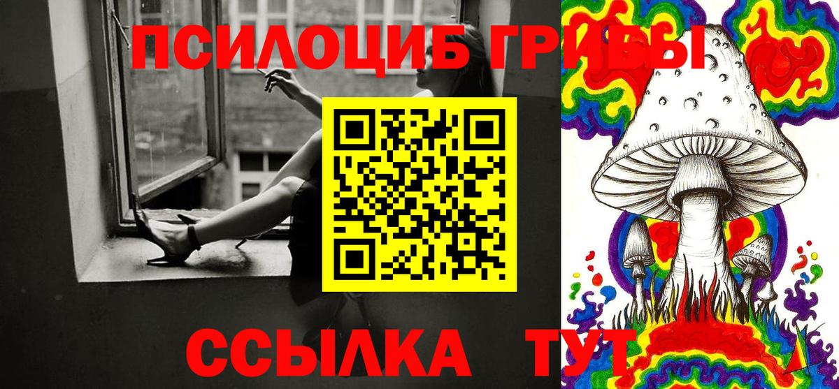 Псилоцибиновые грибы прущие грибы  Галлюциногенные грибы Psilocybe  Зеленокумск 