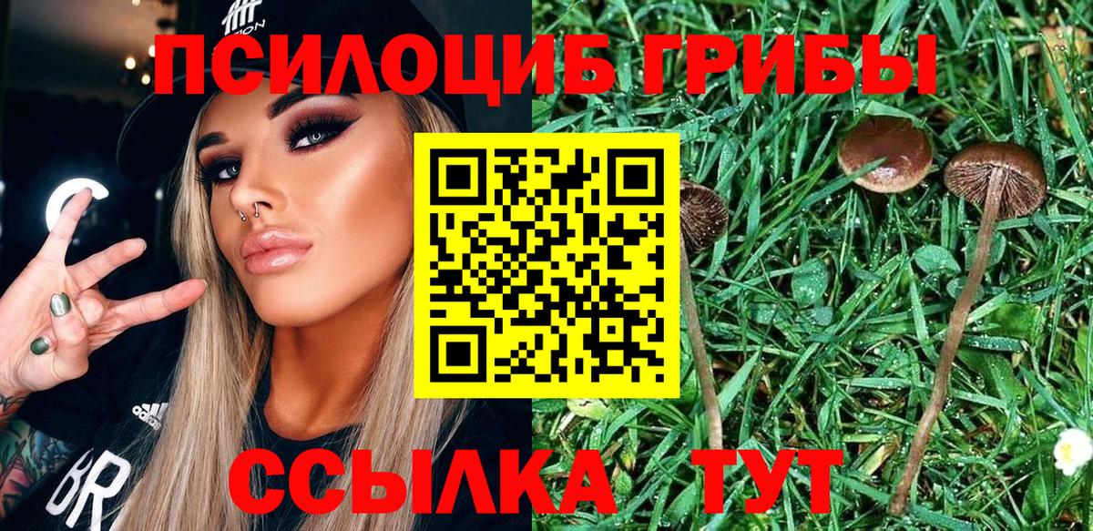 Псилоцибиновые грибы прущие грибы  Вход с VPN  Зеленокумск 