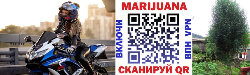 МЕГА вход  Зеленокумск  Канабис сатива 